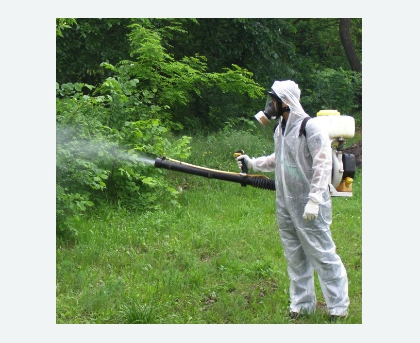 обработка территории от клещей на Соколе города Москвы