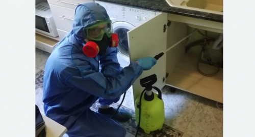 Уничтожение муравьев в квартире. Сокол 