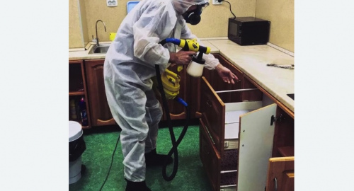 Уничтожение насекомых в квартире. Сокол 