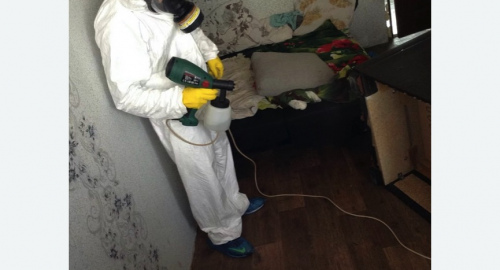 Обработка квартир от насекомых на Соколе города Москвы