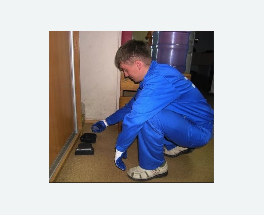 Дератизация крыс на Соколе города Москвы