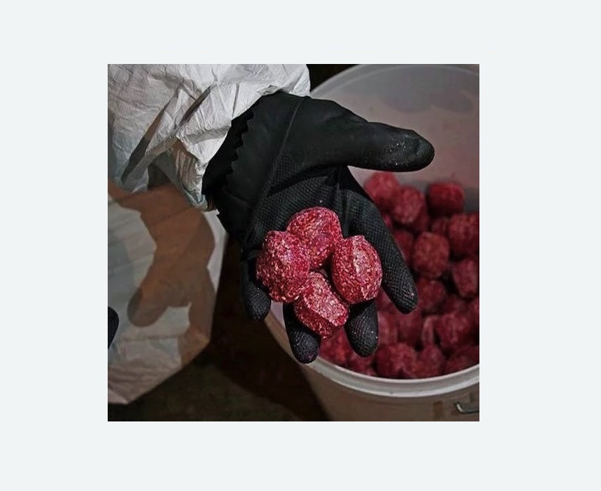 Обработка от крыс на Соколе города Москвы