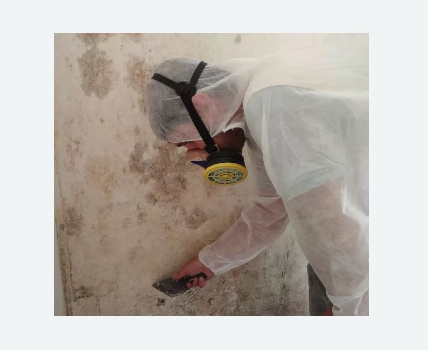 Обработка стен от плесени на Соколе города Москвы