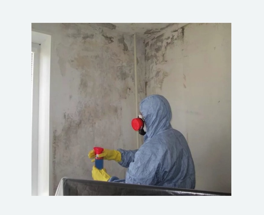 Удаление плесени в квартире на Соколе города Москвы
