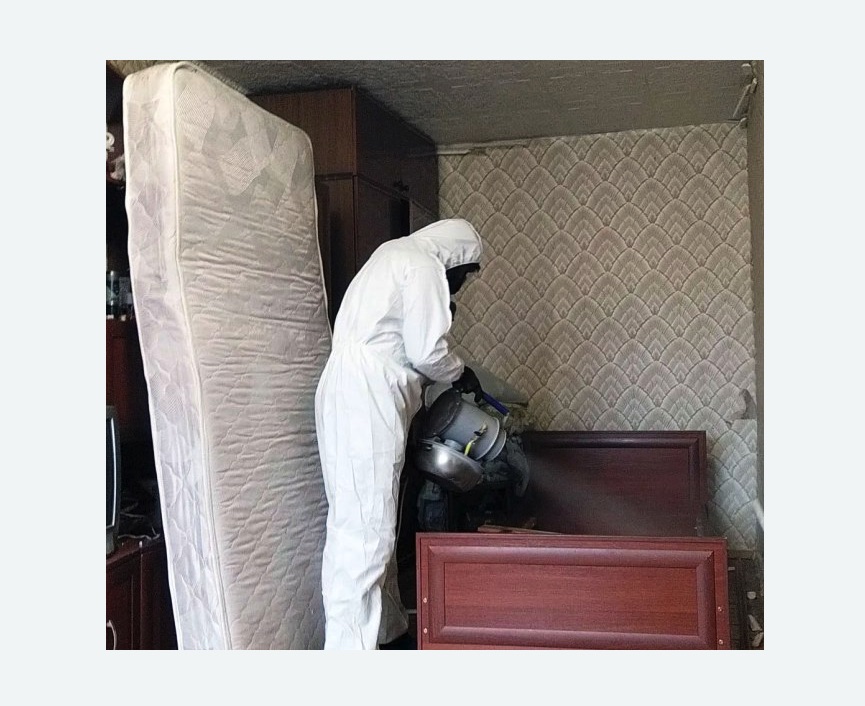 дезинфекция от клопов на Соколе города Москвы