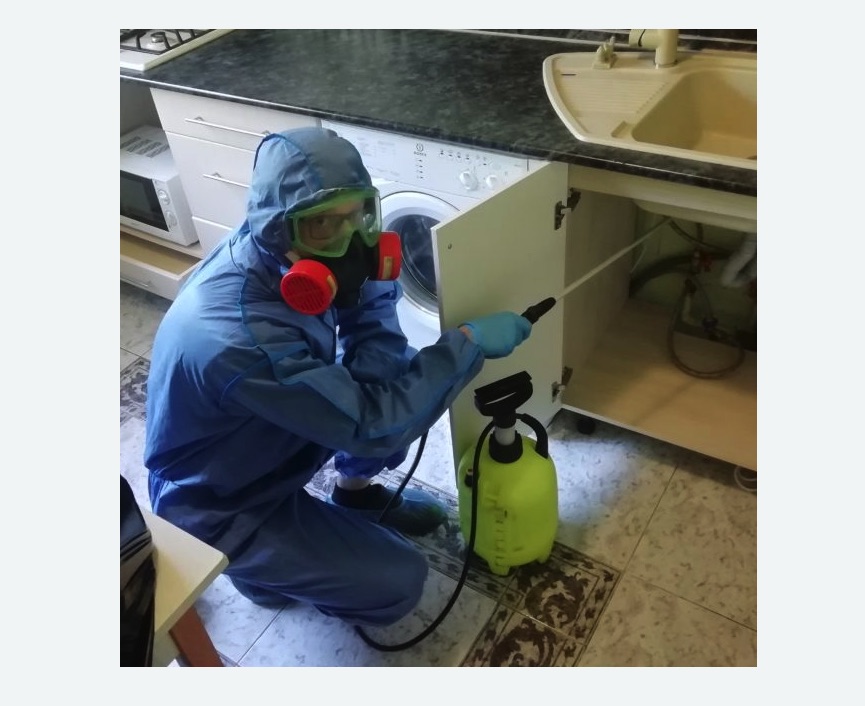 обработка от муравьев в квартире на Соколе города Москвы